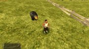 Brown Bear At Farm for GTA San Andreas miniature 4