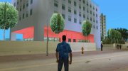 Новые деньги и растительность для GTA Vice City миниатюра 6