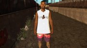 Skin Random 222 (Outfit Random) для GTA San Andreas миниатюра 1