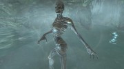 Skyrim - Lore Friendly Zombie Mod для TES V: Skyrim миниатюра 4