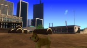 DOGE для GTA San Andreas миниатюра 1