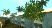 Совершенная реальность для GTA San Andreas миниатюра 2
