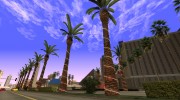 Beautiful Insanity Vegetation Update 1.0 Light Palm Trees From GTA V для GTA San Andreas миниатюра 20