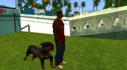Ryders Pet Dog для GTA San Andreas миниатюра 1