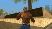 HD Retexture CJ v2.0 для GTA San Andreas миниатюра 2