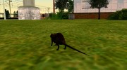 Крыса из S.T.A.L.K.E.R. v.3 para GTA San Andreas miniatura 4