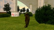 Толстый карлик из S.T.A.L.K.E.R. v.7 для GTA San Andreas миниатюра 3
