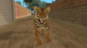 Тигр para GTA San Andreas miniatura 14