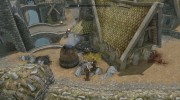 Food Arrows and Spells for TES V: Skyrim miniature 8