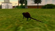 Крыса из S.T.A.L.K.E.R. v.5 para GTA San Andreas miniatura 4