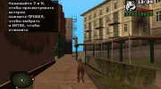 Слепой пес из S.T.A.L.K.E.R v.1 for GTA San Andreas miniature 3