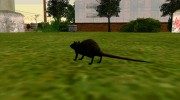 Крыса из S.T.A.L.K.E.R. v.1 для GTA San Andreas миниатюра 4