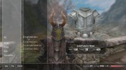 Lord Protector Armor для TES V: Skyrim миниатюра 5