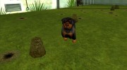 Ryders Pet Dog for GTA San Andreas miniature 2