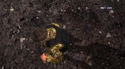 Боец Русской Православной Армии para GTA San Andreas miniatura 13