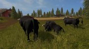 Черные быки para Farming Simulator 2017 miniatura 3