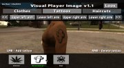 Visual Player Image v1.1 for GTA San Andreas miniature 1