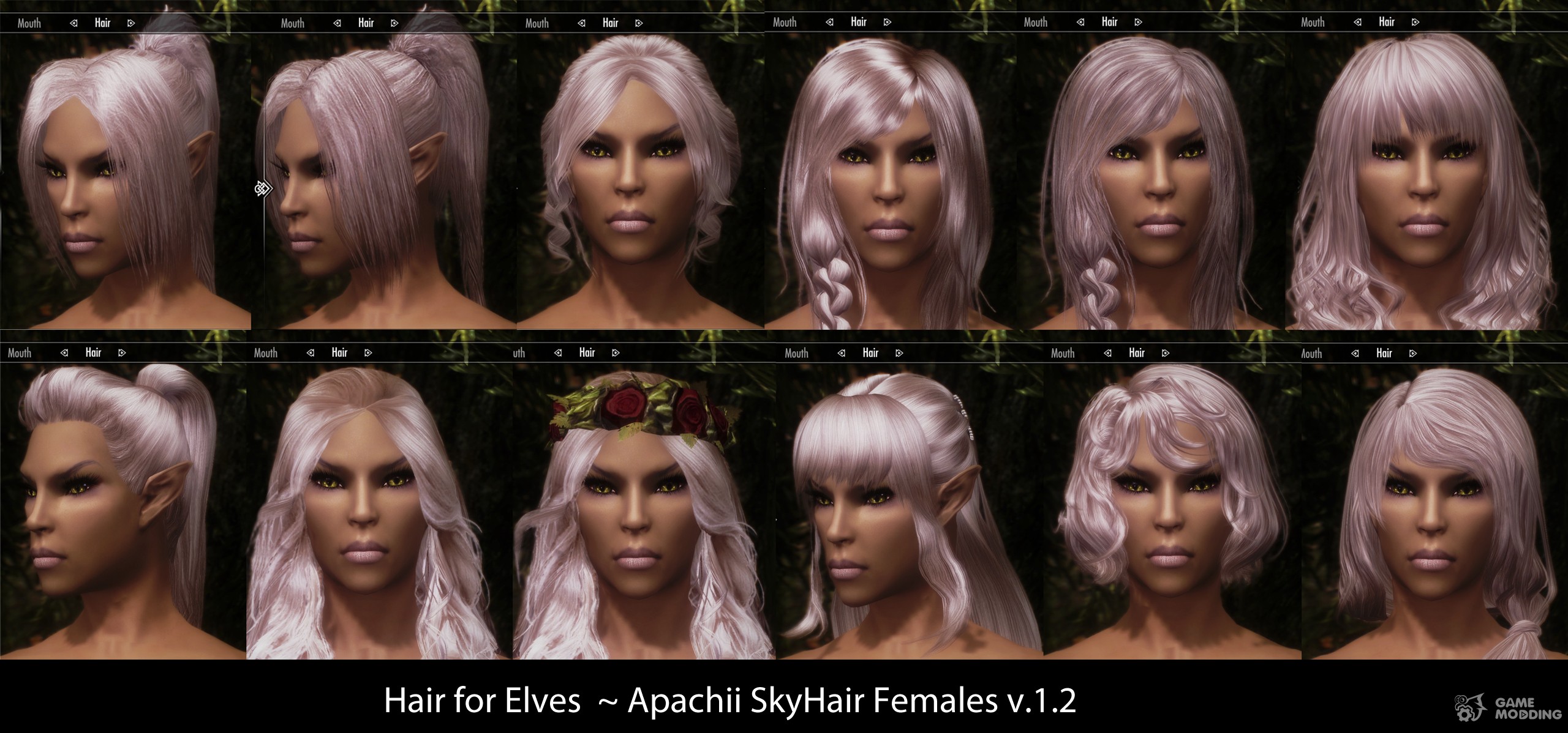 ApachiiSkyHair  for TES V: Skyrim