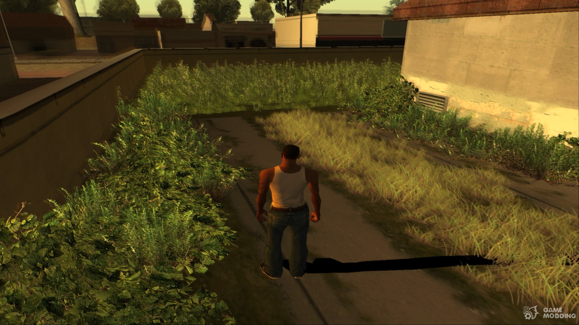 GTA San Andreas Android PS2 Grass Mod 