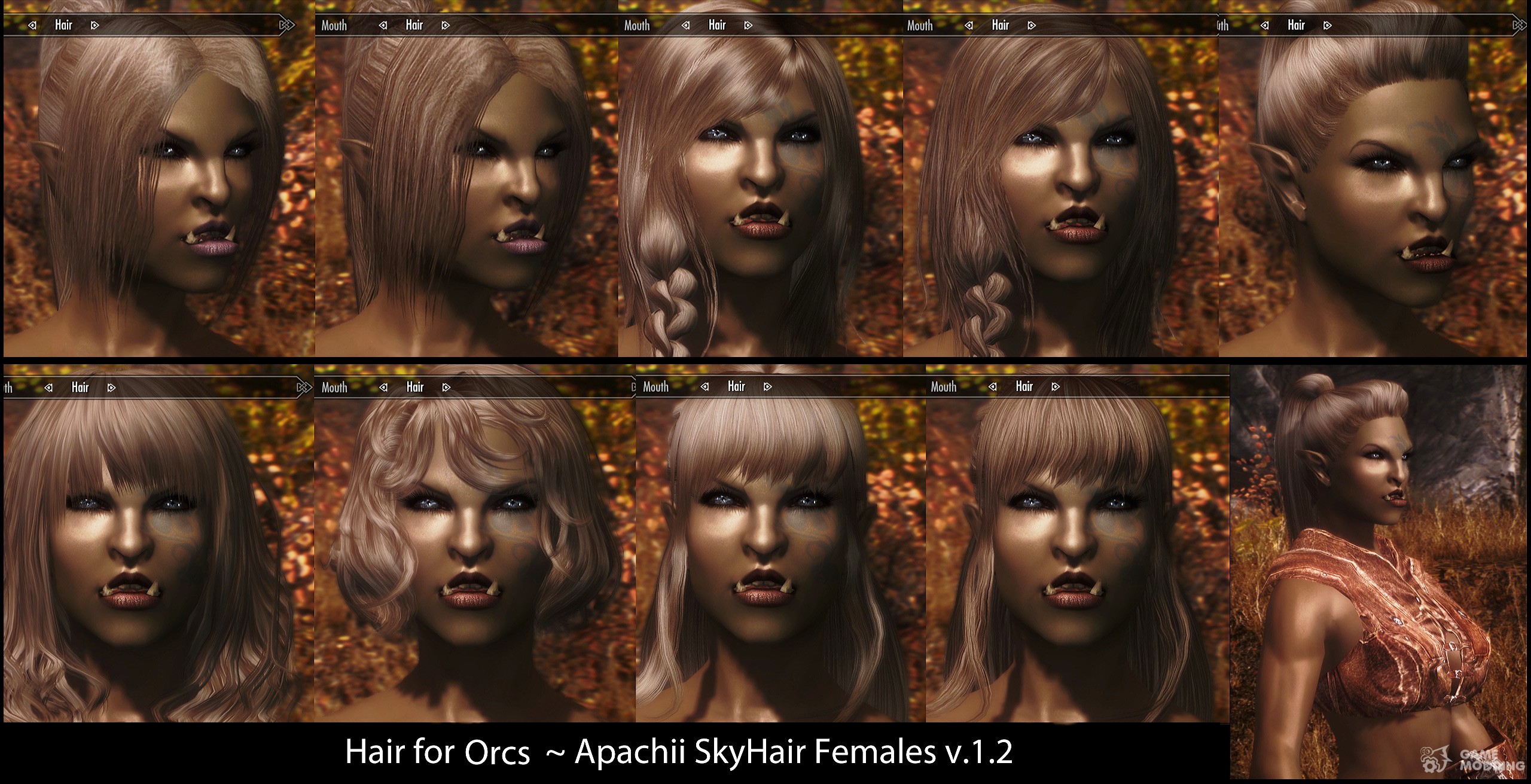 Gallery of Skyrim Apachii Hair.