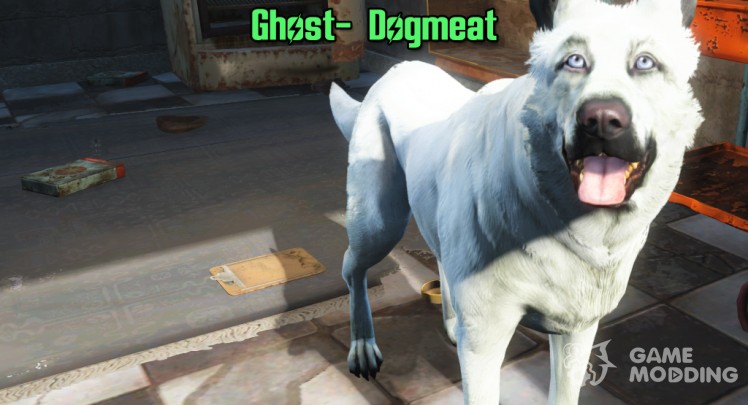 White dog ghost