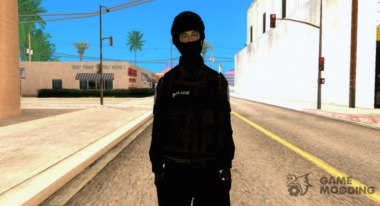 SWAT из GTA 4