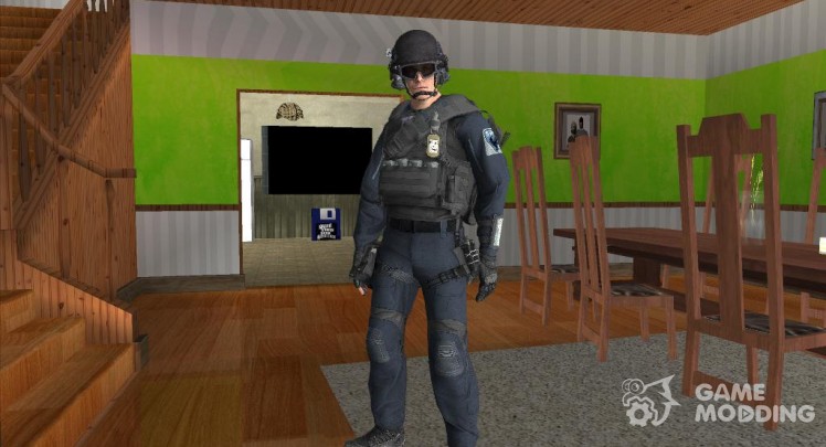 Professional Swat 2