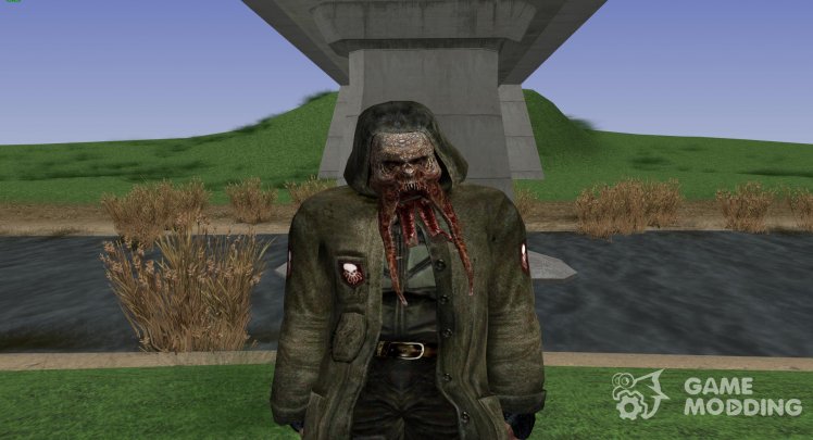 A member of the group Dark stalkers with the head of a bloodsucker from S. T. A. L. K. E. R V. 4