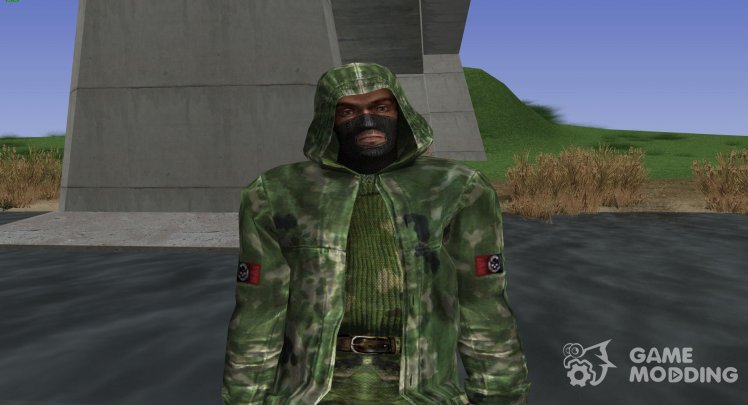 A member of the group the Avengers in a cloak of S. T. A. L. K. E. R V. 2