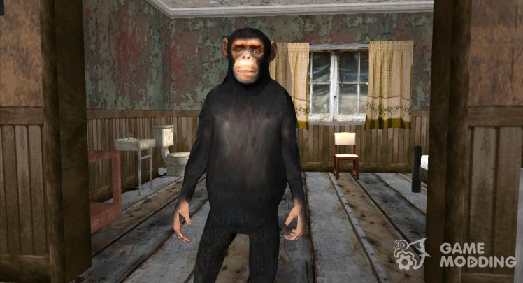 Monkey GTA V v2