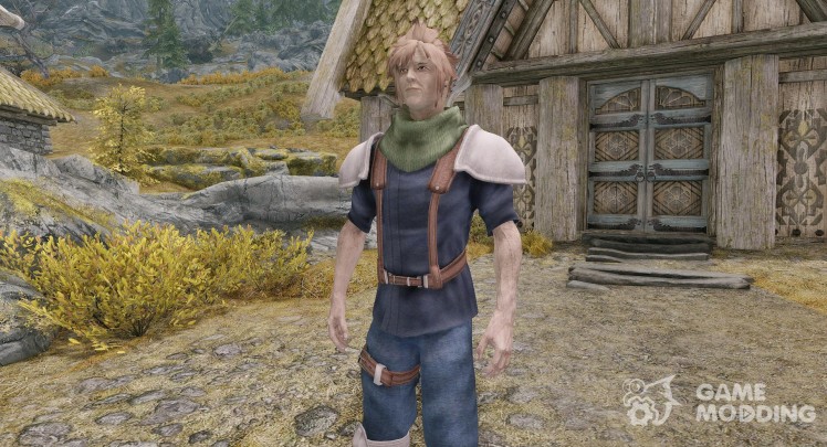 Cloud - Final Fantasy 7CC Clothes and Hairstyle