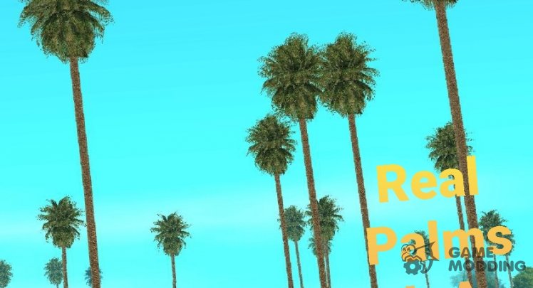 Real Palms L.A  (v2)