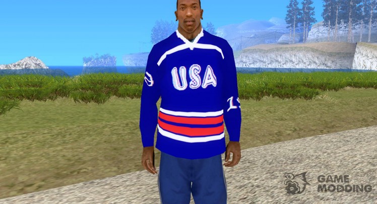 United States ice hockey team's form 1.0