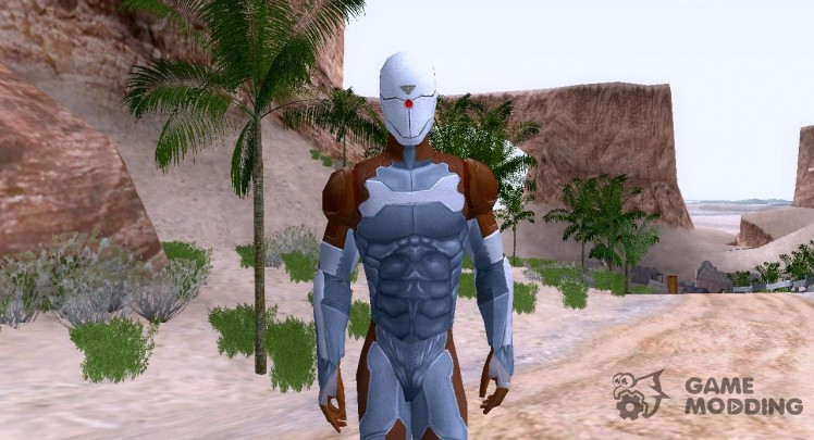 Gray Fox