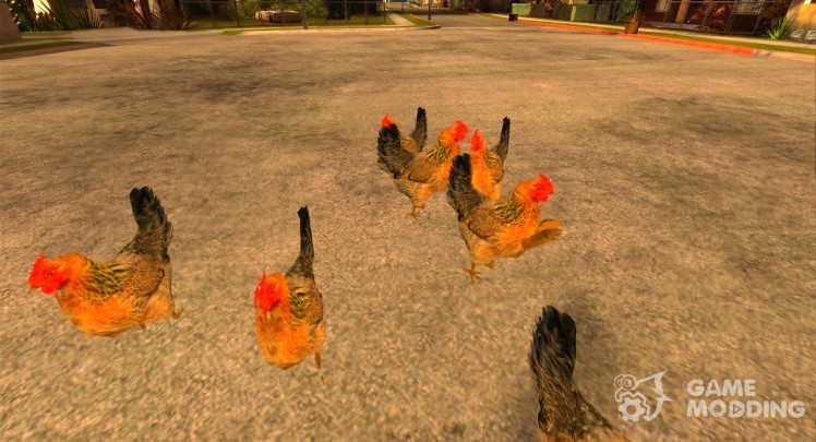 Pollos en GTA San Andreas