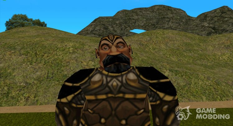 Ополченец из Warcraft III