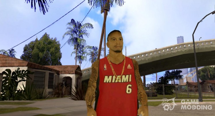 LeBron James de la NBA Miami Heat