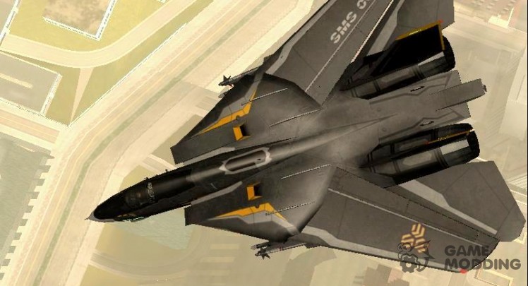 F-14 Black Bird