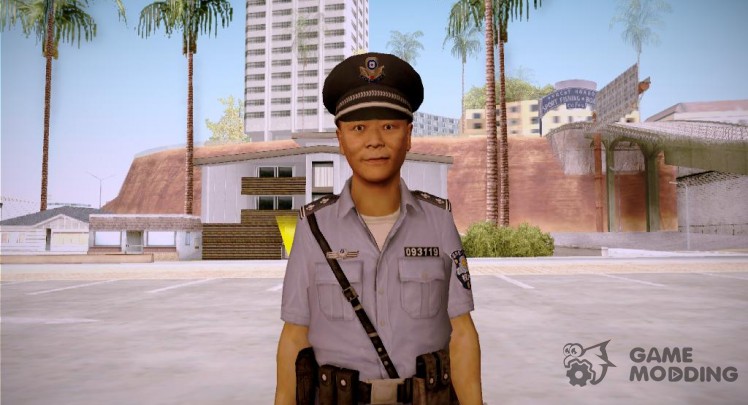 Japanese Policeman