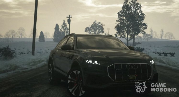 2019 Audi Q8