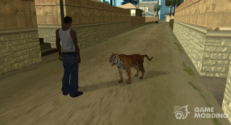 Tigris
