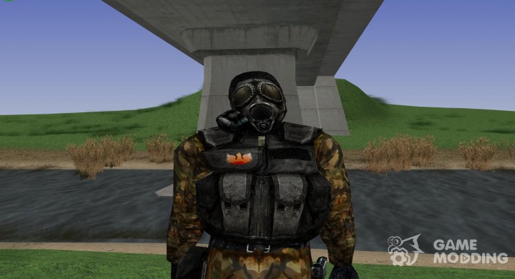 A member of the group Phoenix from S. T. A. L. K. E. R V. 3