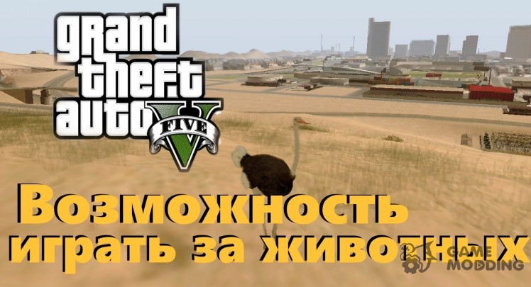 Play for animals (possibility of GTA V)