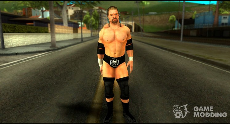 Triple H from Smackdown Vs Raw