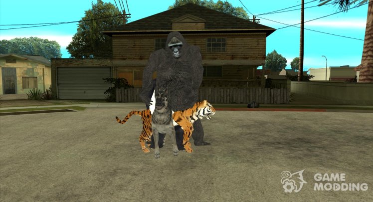 Animales
