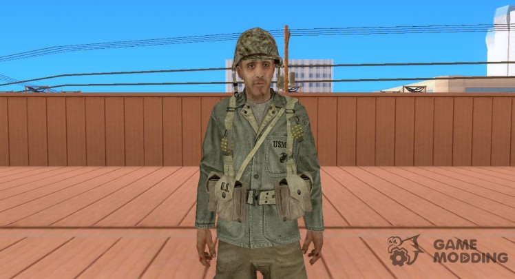 Soldier from Call of Duty 5