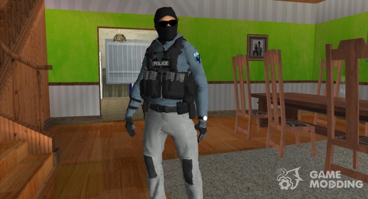 Professional Swat