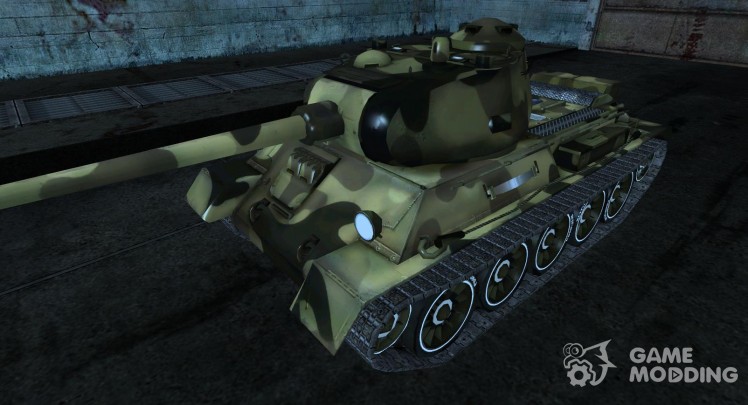 Skin for t-43