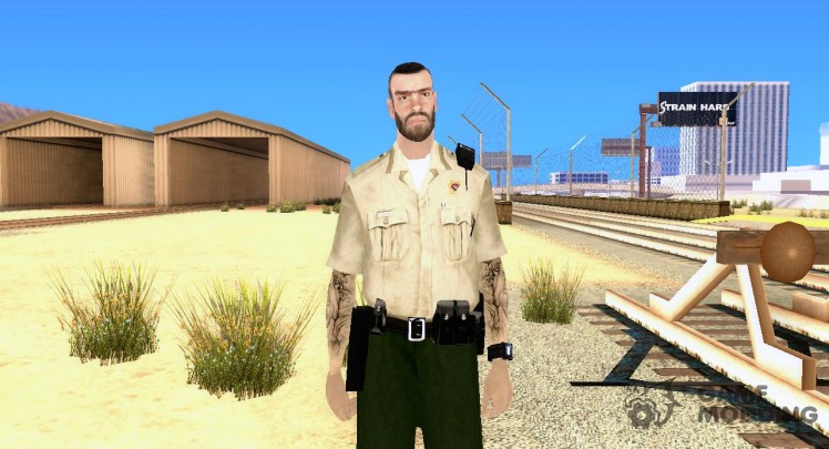 High-quality police skin