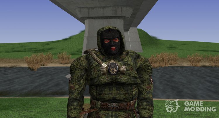 A member of a group of Liquidators of S. T. A. L. K. E. R V. 2